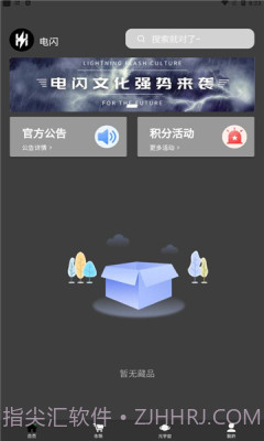 电闪文化截图1