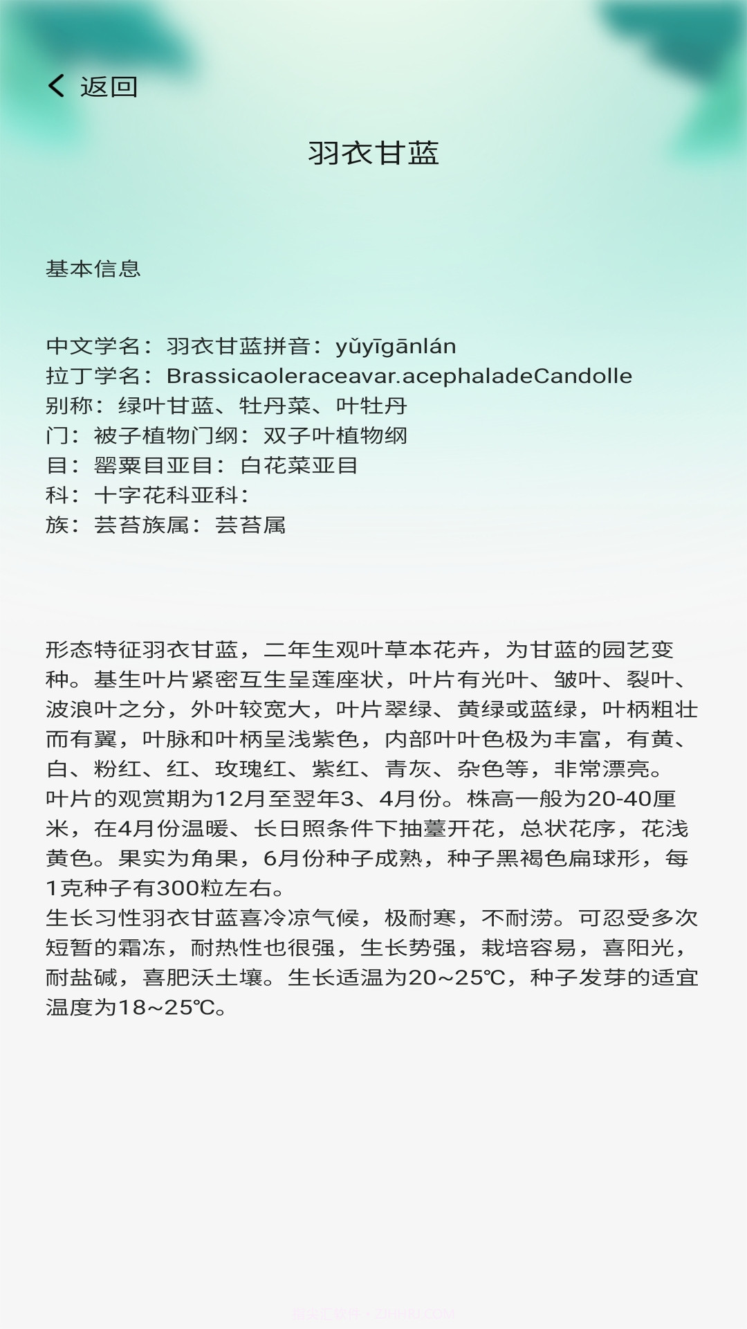 百草植物园截图3 百草植物园截图3