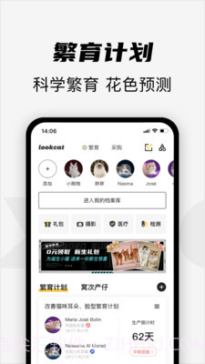 看猫截图4 看猫截图4