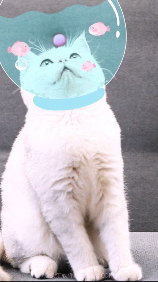 相机潮自拍截图4