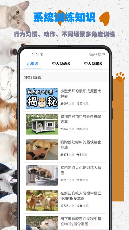 训狗教程截图2 训狗教程截图2