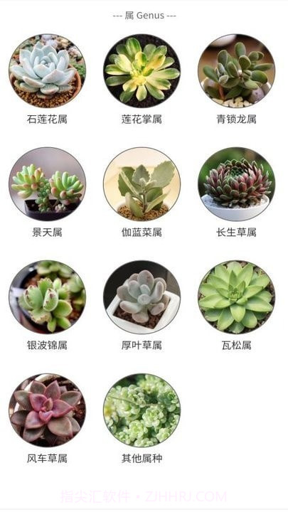 植物君截图3
