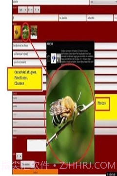 ABA自闭症教育截图3