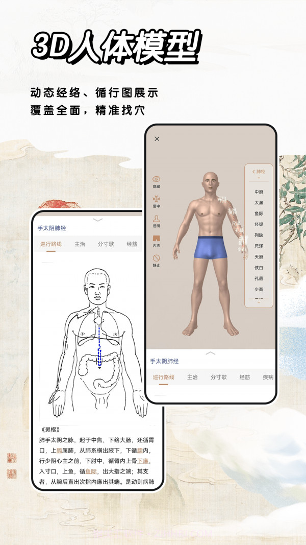 中医经络穴位截图2