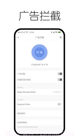 神奇浏览器截图3