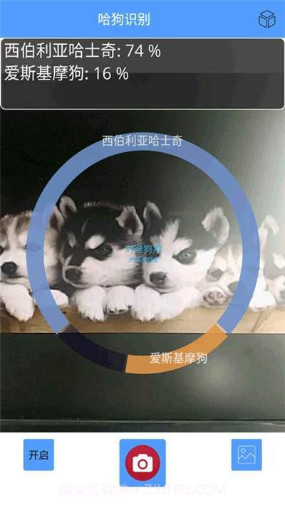 哈狗识别截图2