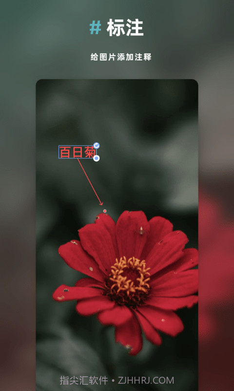 Annotable图片处理截图2 Annotable图片处理截图2