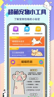 猫咪交流截图1 猫咪交流截图1