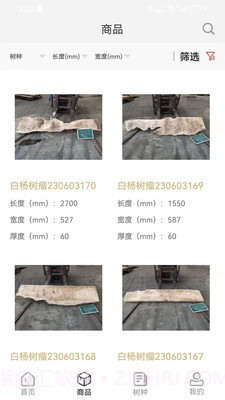 木头猎人截图2 木头猎人截图2