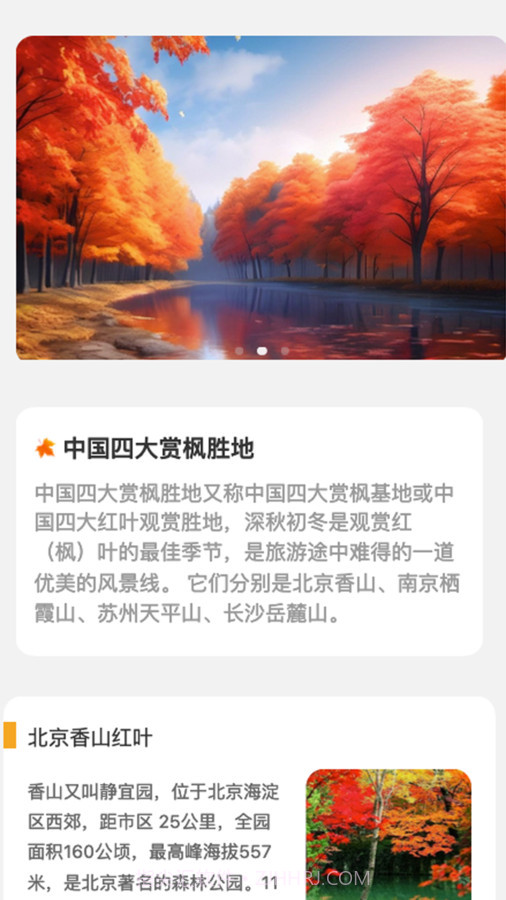 枫叶悦看截图1