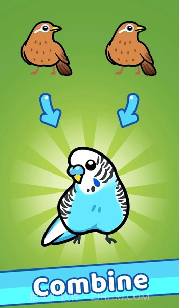 放置鸟乐园截图2 放置鸟乐园截图2