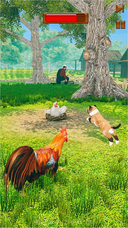 农场鸡焙烧炉竞速截图1
