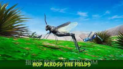 印度蝗虫模拟器汉化版截图3 印度蝗虫模拟器汉化版截图3