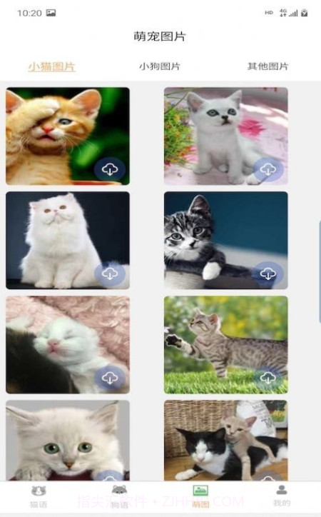 昊捷猫狗翻译截图4 昊捷猫狗翻译截图4