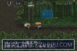 不可思议的迷宫（风来的西林）截图1