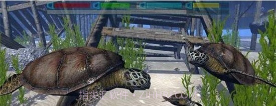 终极海豚模拟器截图3