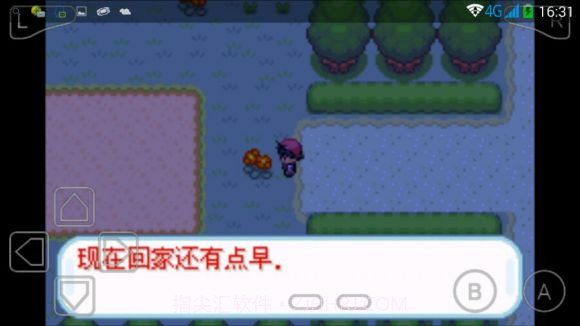 口袋妖怪赤红截图3 口袋妖怪赤红截图3