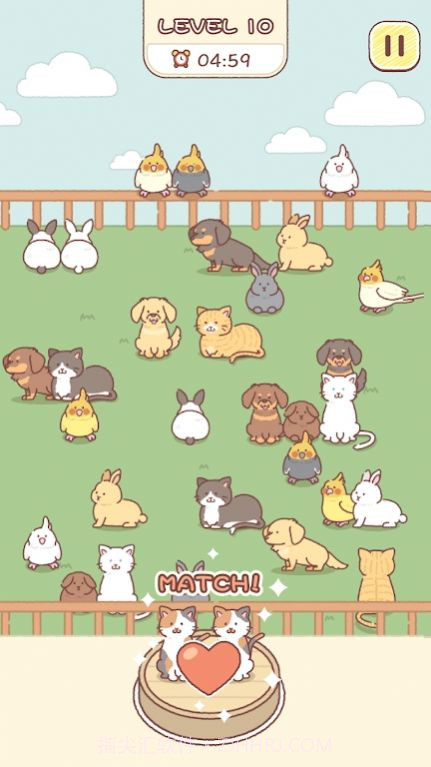 动物园匹配官方版截图3 动物园匹配官方版截图3