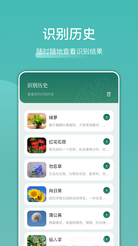 识花识物截图2 识花识物截图2