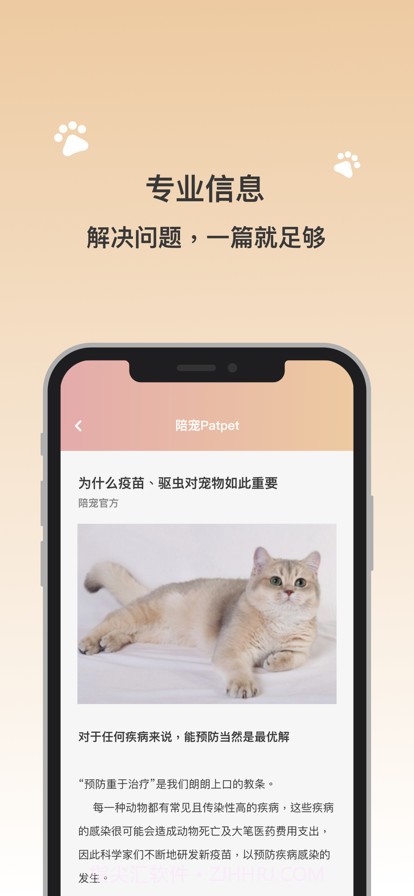 陪宠截图3 陪宠截图3