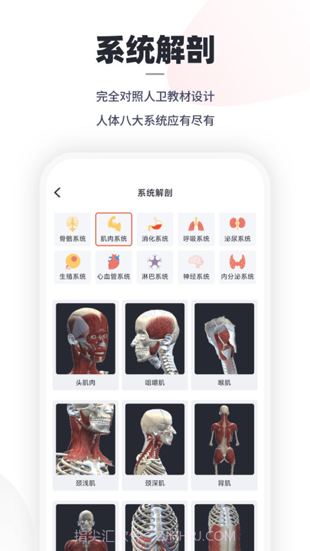 口袋解剖截图1