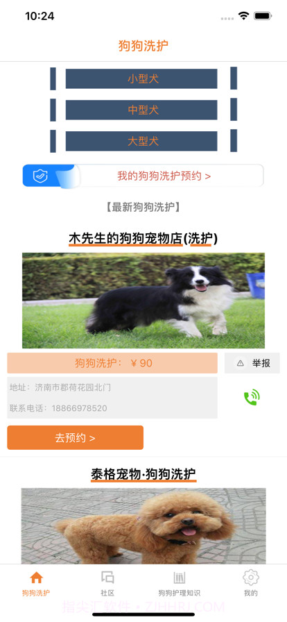 精心狗狗洗护舍截图1 精心狗狗洗护舍截图1