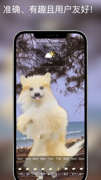 狗天气直播截图5