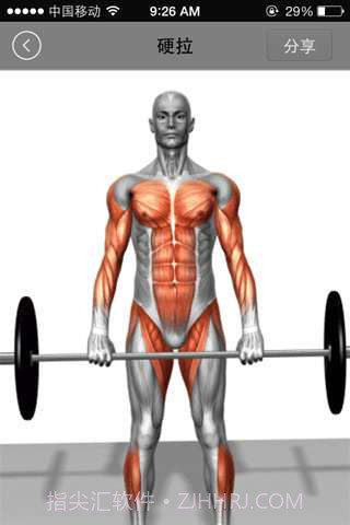 健美宝典截图3