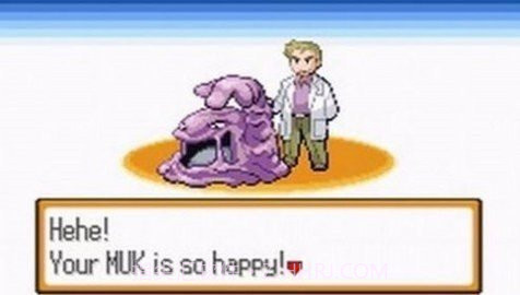 口袋妖怪解放2.0.3汉化版截图1