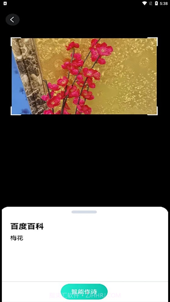 趣萌识别截图1