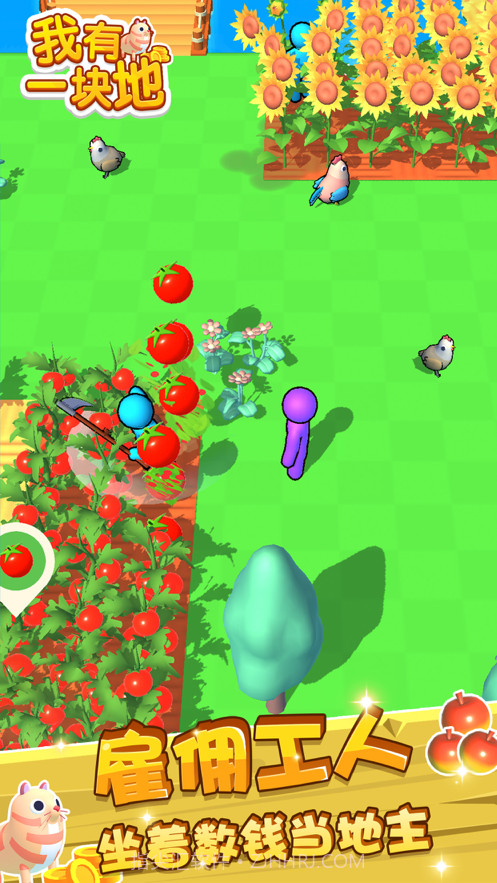 我有一块地截图5