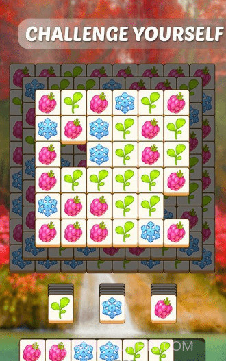 植物们配对截图4 植物们配对截图4