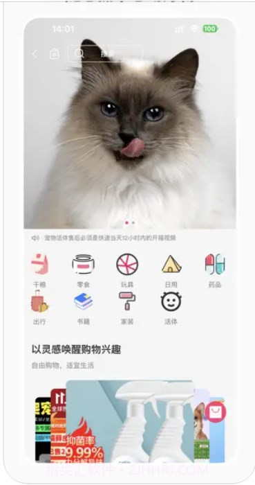 宠也截图2 宠也截图2