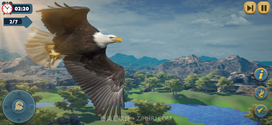 鹰鸟荒野生活模拟截图2