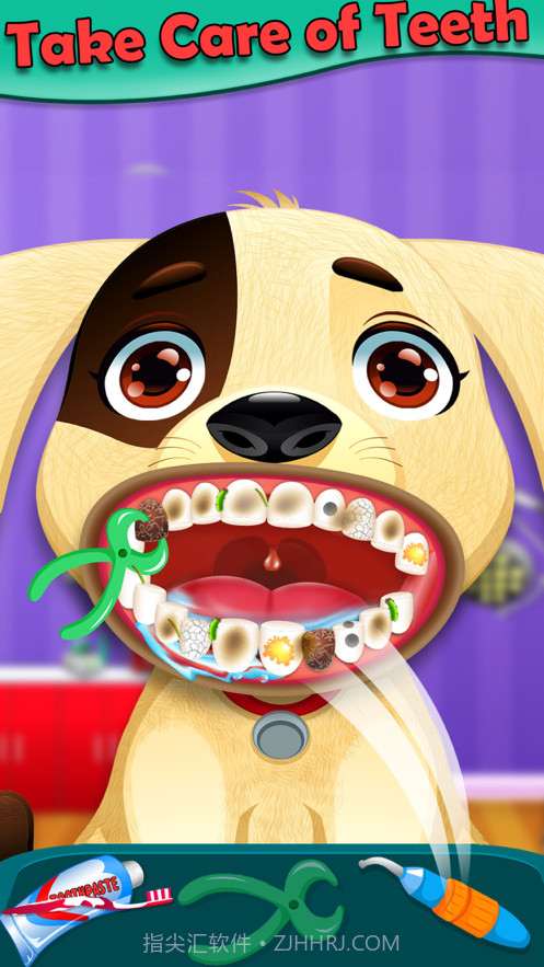 宠物牙医截图5 宠物牙医截图5