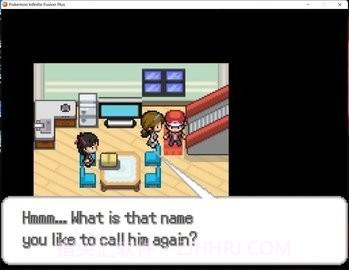 口袋妖怪无限融合5.0汉化版截图1 口袋妖怪无限融合5.0汉化版截图1