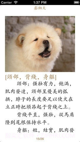 世界名犬大全截图4