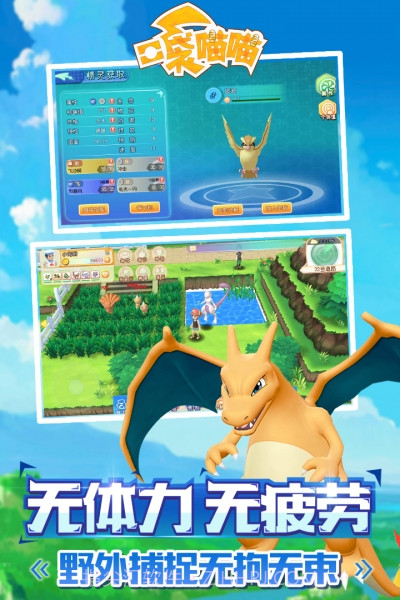 口袋喵喵最新版截图5