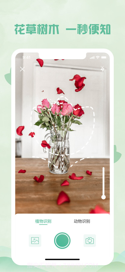 拍照识物:植物识别&拍照识花截图3 拍照识物:植物识别&拍照识花截图3