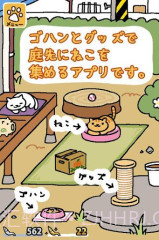 收集猫猫截图4 收集猫猫截图4