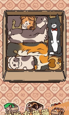盒子猫截图3 盒子猫截图3