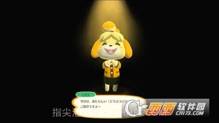 动物之森口袋露营最新版截图2