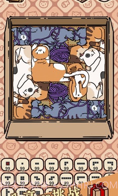 盒子猫截图2 盒子猫截图2