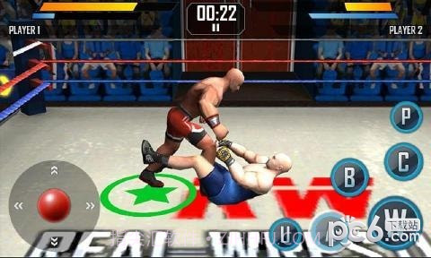 真实摔跤截图1