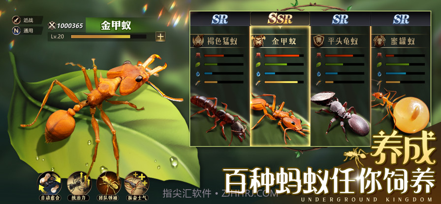 小小蚁国:真实蚂蚁世界截图3