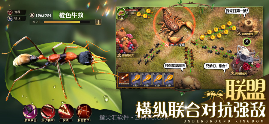 小小蚁国:真实蚂蚁世界截图5