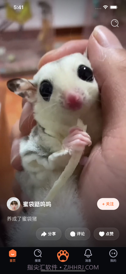 铲屎啦截图3 铲屎啦截图3