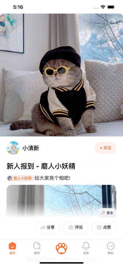 铲屎啦截图1 铲屎啦截图1