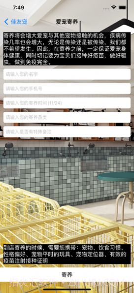 佳友宠截图3