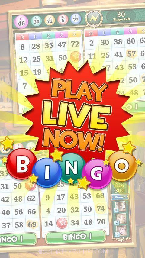 疯狂Bingo截图4